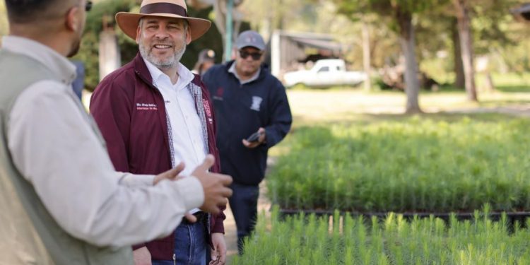 Para cuencas de ríos y lagos, 4 de cada 10 árboles plantados: Bedolla