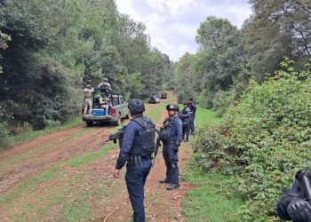Ejército Mexicano, GN y GC refuerzan seguridad en Cherán; se mantiene atención permanente en la zona: Torres Piña