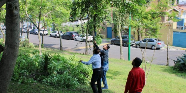 Gobierno de Morelia inicia semana con jornada de limpieza en Av. Fray Antonio de San Miguel