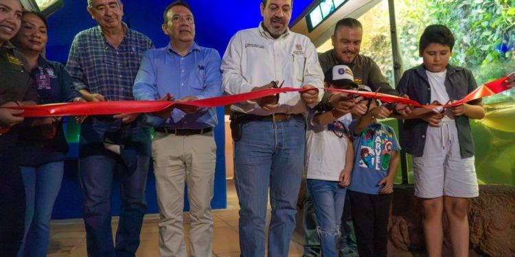 ¡Sumérgete en la experiencia de la nueva pecera 360° del Zoológico de Morelia!