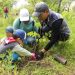 ¡Vamos a reforestar! Únete a la campaña para plantar 10 millones de árboles: Secma