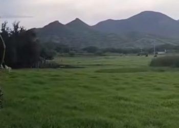 Reportan enfrentamiento armado entre células criminales en Tepalcatepec; no hay víctimas