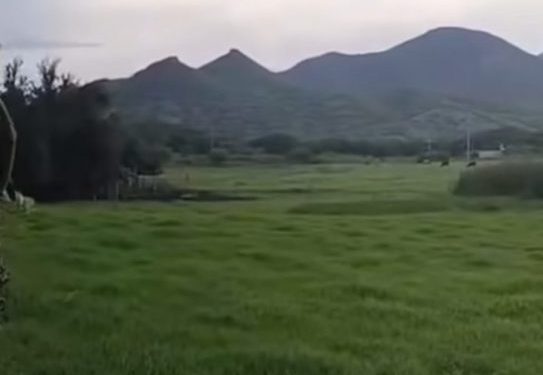 Reportan enfrentamiento armado entre células criminales en Tepalcatepec; no hay víctimas