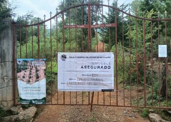 FGE  catea y asegura predio relacionado con delitos contra el ambiente; tala ilegal y plantación de aguacate