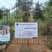 FGE  catea y asegura predio relacionado con delitos contra el ambiente; tala ilegal y plantación de aguacate