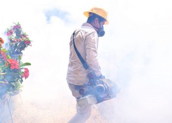Casos de dengue disminuyen un 76 % por acciones de prevención: SSM