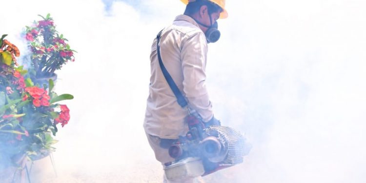 Casos de dengue disminuyen un 76 % por acciones de prevención: SSM