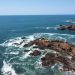 Playas limpias en Michoacán, listas para recibirte: Sectur