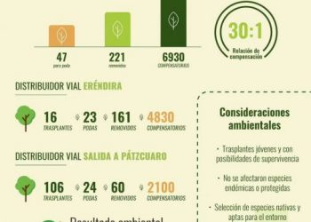 Gobierno de Michoacán compensa obras viales con casi 7 mil árboles