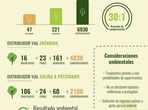 Gobierno de Michoacán compensa obras viales con casi 7 mil árboles