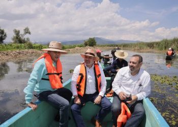 Supervisa Bedolla avances en la recuperación del lago de Pátzcuaro
