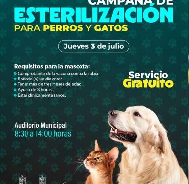 Jornadas gratuitas de esterilización animal en Tarícuaro y Huaniqueo: SSM