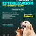 Jornadas gratuitas de esterilización animal en Tarícuaro y Huaniqueo: SSM