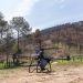 Así es la innovadora técnica de reforestación con drones para recuperar bosques michoacanos: Secma