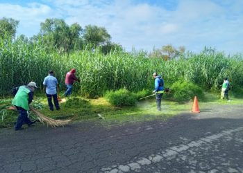 Gobierno de Morelia interviene el Río Grande para prevenir inundaciones y fauna nociva