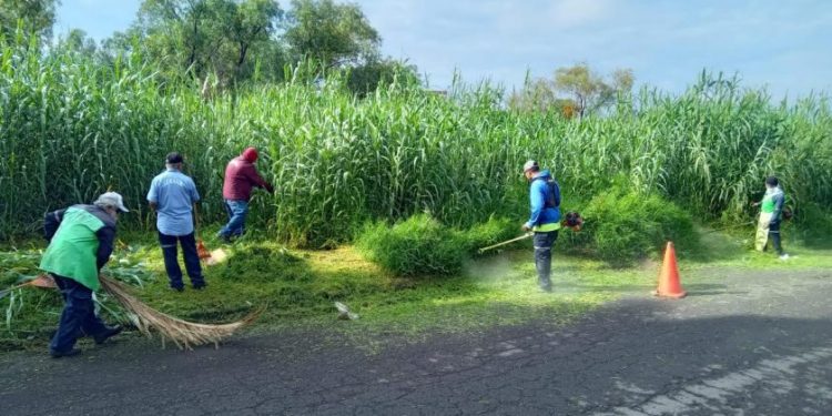 Gobierno de Morelia interviene el Río Grande para prevenir inundaciones y fauna nociva