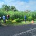 Gobierno de Morelia interviene el Río Grande para prevenir inundaciones y fauna nociva