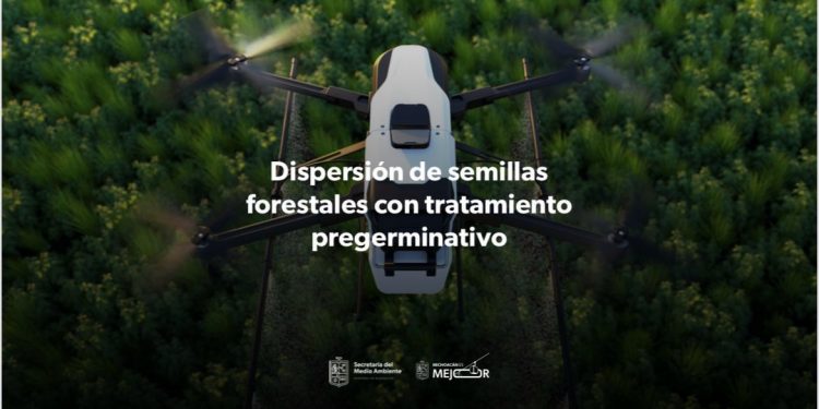 Arranca reforestación por aire; con drones se lanzarán más de 200 mil semillas: Bedolla