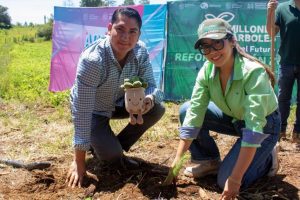 Plantando más de 20 Millones de árboles en el Estado: Ijumich-Morelia Informativo