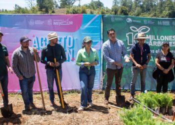 Plantando más de 20 Millones de árboles en el Estado: Ijumich-Morelia Informativo