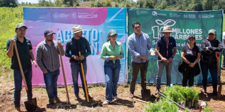Plantando más de 20 Millones de árboles en el Estado: Ijumich-Morelia Informativo