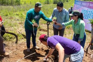 Plantando más de 20 Millones de árboles en el Estado: Ijumich-Morelia Informativo