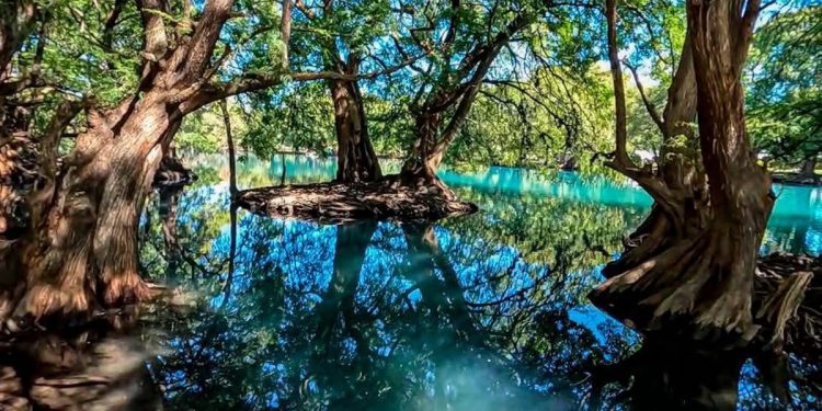 Lago de Camécuaro, joya natural de Michoacán: Sectur-Morelia Informativo