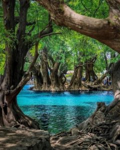 Lago de Camécuaro, joya natural de Michoacán: Sectur-Morelia Informativo