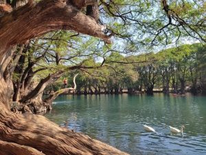 Lago de Camécuaro, joya natural de Michoacán: Sectur-Morelia Informativo