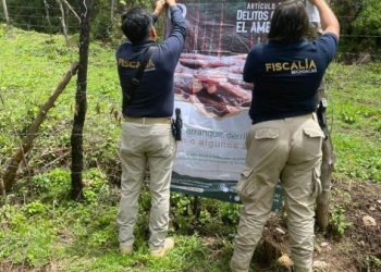 FGE cumplimenta orden de cateo en predio relacionado con delitos contra el ambiente; se localizaron indicios de tala