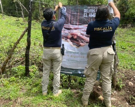 FGE cumplimenta orden de cateo en predio relacionado con delitos contra el ambiente; se localizaron indicios de tala