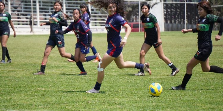 Nicolaitas se consolidan como líder del Torneo de Verano: UMSNH-Morelia Informativo