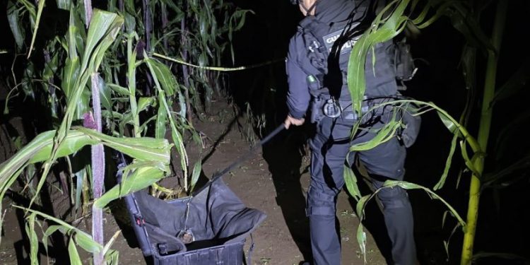 Desactivan granada de gas en Arantepacua: SSP-Morelia Informativo