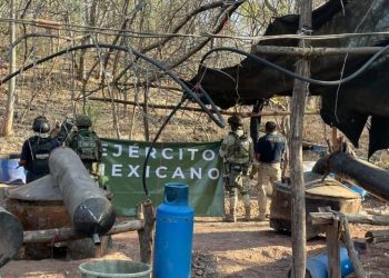 Defensa localiza y desmantela laboratorio clandestino en Turicato: SSP-Morelia Informativo