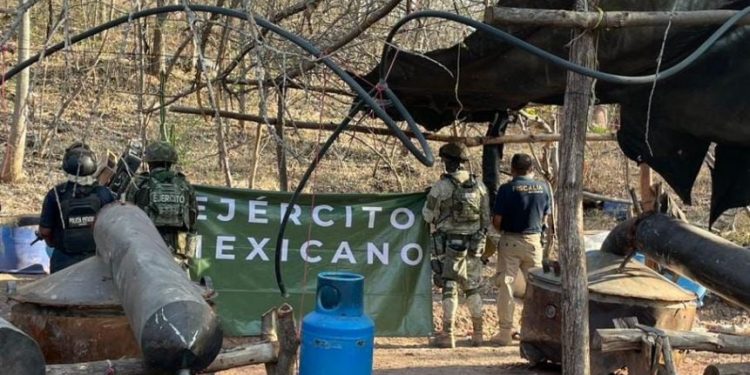 Defensa localiza y desmantela laboratorio clandestino en Turicato: SSP-Morelia Informativo