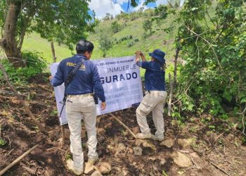 Se aseguran predios involucrados en delitos contra el medio ambiente: SSP-Morelia Informativo