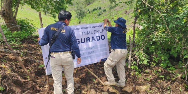 Se aseguran predios involucrados en delitos contra el medio ambiente: SSP-Morelia Informativo