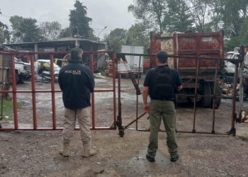 Asegurados 3 vehículos con alteraciones en su medio de Identificación: SSP-Morelia Informativo