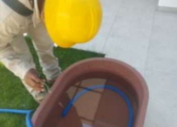 Síntomas de Dengue: SSM-Morelia Informativo