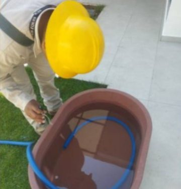 Síntomas de Dengue: SSM-Morelia Informativo