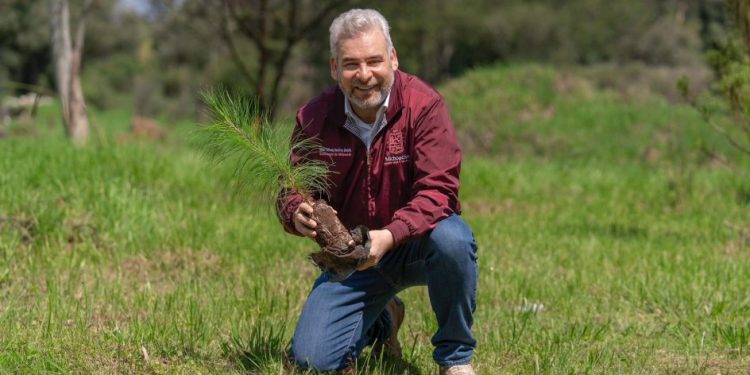 Reforestación en Michoacán: Bedolla-Morelia Informativo