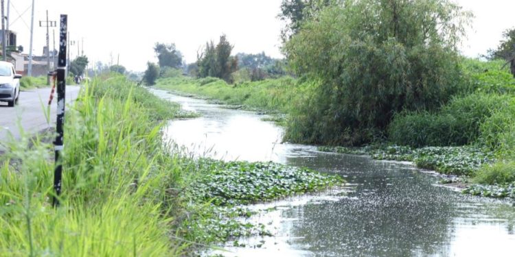 Ríos y drenes se mantienen bajo control; Ooapas trabaja en coordinación con Protección Civil de Morelia