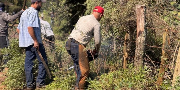 Gobierno de Morelia fortalece la conexión rural con acciones integrales en Loma Caliente-Morelia Informativo