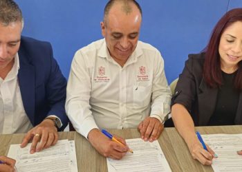 Michoacán, Guanajuato y Jalisco coordinan esfuerzos para combate del dengue: SSM