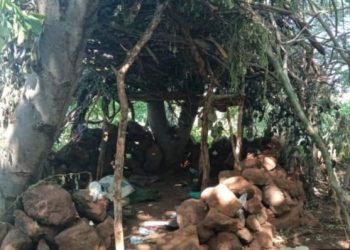 SSP y Defensa destruyen campamento de la delincuencia organizada