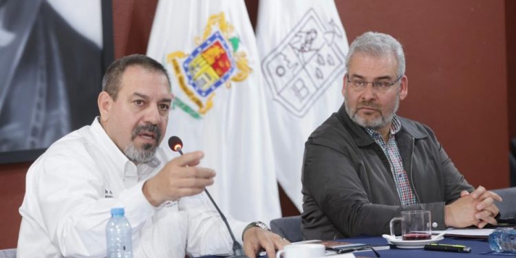 Se suman a Proforest Avocado 25 empacadoras exportadoras de aguacate: Bedolla