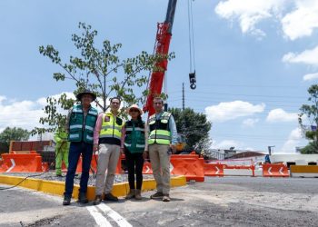 SCOP reubica más de 100 árboles por obra de distribuidor salida a Pátzcuaro