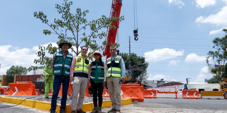 SCOP reubica más de 100 árboles por obra de distribuidor salida a Pátzcuaro
