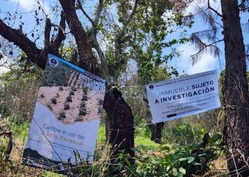 Cumplimenta FGE orden de cateo en predio relacionado con delitos contra el ambiente