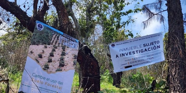 Cumplimenta FGE orden de cateo en predio relacionado con delitos contra el ambiente